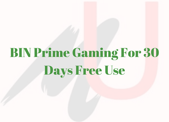 BIN Prime Gaming